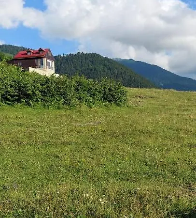 Eagle's Nest *
